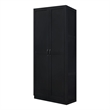 Manhattan Comfort Hopkins Storage Closet 3.0 from Engineered Wood in Black