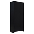Hopkins Storage Closet 4.0 from Engineered Wood in Black - Set of 2