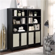 Manhattan Comfort Sheridan Engineered Wood Bookcase Cabinet in Black - Set of 2