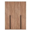 Lee Wardrobe Closet 1.0 from Engineered Wood in Golden Brown - Set of 2