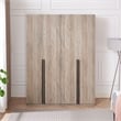 Lee Wardrobe Closet 2.0 from Engineered Wood in Rustic Gray - Set of 2