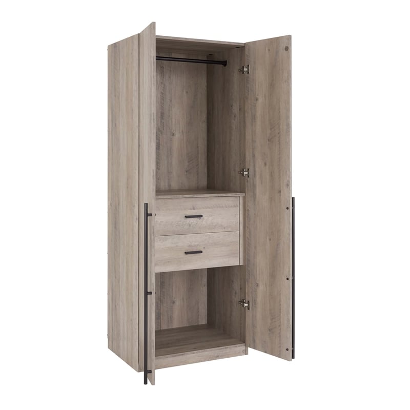 Lee Wardrobe Closet 2.0 from Engineered Wood in Rustic Gray - Set of 2