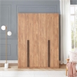 Lee Wardrobe Closet 3.0 from Engineered Wood in Golden Brown - Set of 2