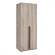 Lee Wardrobe Closet 3.0 from Engineered Wood in Rustic Gray - Set of 2