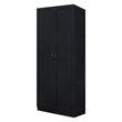 Hopkins Storage Closet from Engineered Wood 3.0 in Black - Set of 2