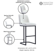 Manhattan Comfort Serena Barstool with Metal Base in White (Set of 2)