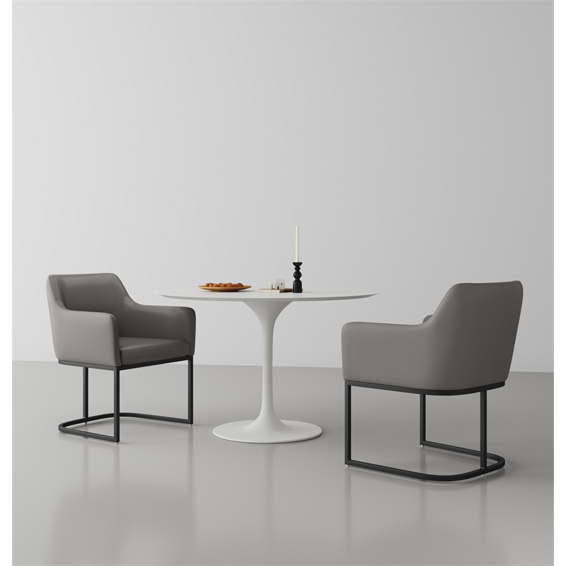 Serena Upholstered Dining Armchair with Steel Base in Gray- Set of 2