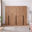 Lee Wardrobe Closet 2.0 from Engineered Wood in Golden Brown - Set of 3