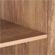 Lee Wardrobe Closet 2.0 from Engineered Wood in Golden Brown - Set of 3
