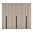 Lee Wardrobe Closet 2.0 from Engineered Wood in Rustic Gray - Set of 3