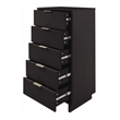 2-Piece Granville Solid Wood Tall Narrow and Standard Dresser Set in Black