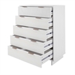 2-Piece Granville Solid Wood Tall Chest and Standard Dresser Set in White
