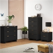 3-Piece Granville Solid Wood Dresser Chest and Nightstand Set in Black