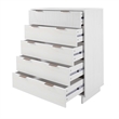 2-Piece Granville Solid Wood Tall Chest and Double Dresser Set in White