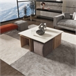 Haley Mid-Century Modern Nested Coffee Table & Ottoman Set in Natural & Beige