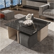 Haley Mid-Century Modern Nested Coffee Table & Ottoman Set Multi-Color