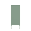 Amelia Modern 31.5 Accent Cabinet with 3 Adjustable Shelves in Green