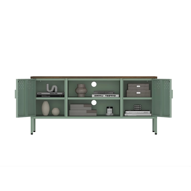 Landen Modern 47 TV Stand with 6 Fixed Shelves in Green