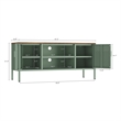 Landen Modern 47 TV Stand with 6 Fixed Shelves in Green