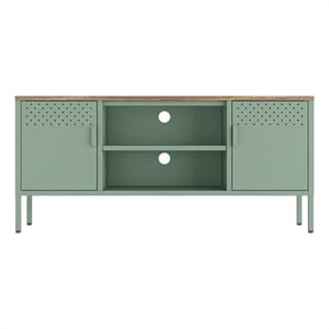 Landen Modern 47 TV Stand with 6 Fixed Shelves in Green