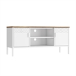 Landen Modern 47 TV Stand with 6 Fixed Shelves in White
