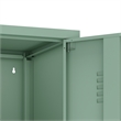 2-Piece Naomi Accent & Storage Cabinets with 8 Adjustable Shelves in Green