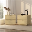 Chrystie Contemporary Modern Nightstand in Natural (2-Drawer) - Set of 2