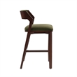 Patricia Modern Wood Upholstered Barstool in Turtle Green - Set of 2