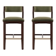 Patricia Modern Wood Upholstered Barstool in Turtle Green - Set of 2