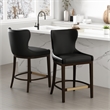 Blair Modern Wood Upholstered Counter Stool in Black - Set of 2