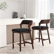 Patricia Modern Wood Upholstered Counter Stool in Black - Set of 2