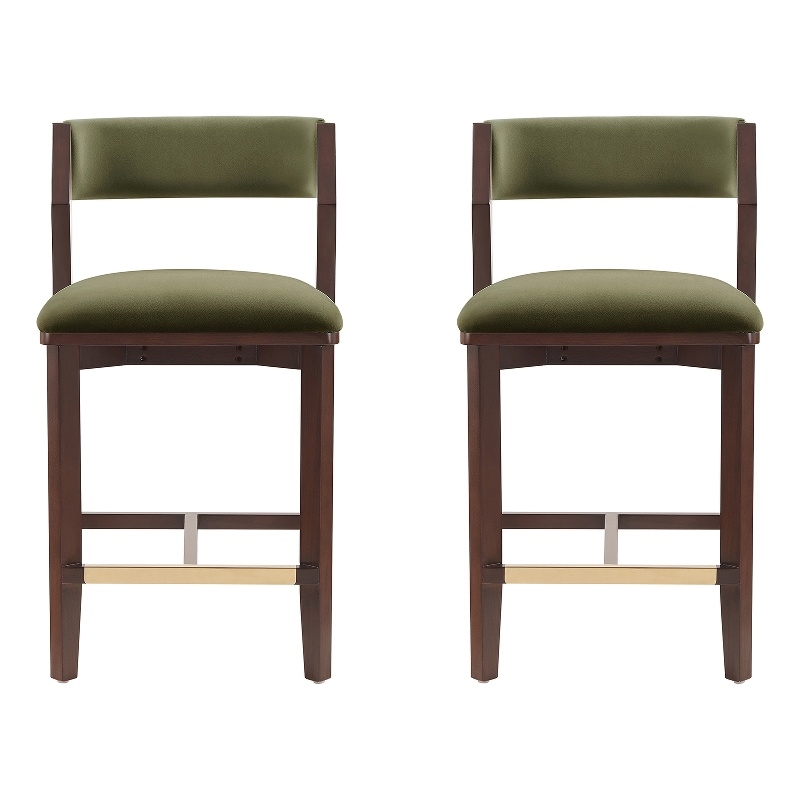 Patricia Modern Wood Upholstered Counter Stool in Turtle Green - Set of 2