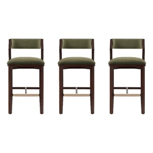 Patricia Modern Wood Upholstered Barstool in Turtle Green - Set of 3