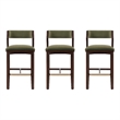 Patricia Modern Wood Upholstered Barstool in Turtle Green - Set of 3