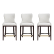 Blair Modern Wood Upholstered Counter Stool in White - Set of 3