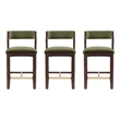 Patricia Modern Wood Upholstered Counter Stool in Turtle Green - Set of 3
