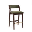 Patricia Modern Wood Upholstered Barstool in Turtle Green