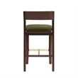 Patricia Modern Wood Upholstered Barstool in Turtle Green