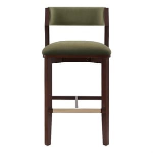 Patricia Modern Wood Upholstered Barstool in Turtle Green