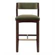 Patricia Modern Wood Upholstered Barstool in Turtle Green