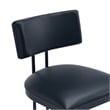 Juno Contemporary Modern Metal Barstool in Black