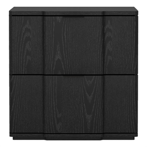 Clive Mid-Century Modern 22&quot Nightstand in Black (2-Drawer)