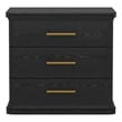 Clifford Traditional Nightstand in Black (3-Drawer)