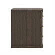 Clifford Traditional Nightstand in Walnut (3-Drawer)