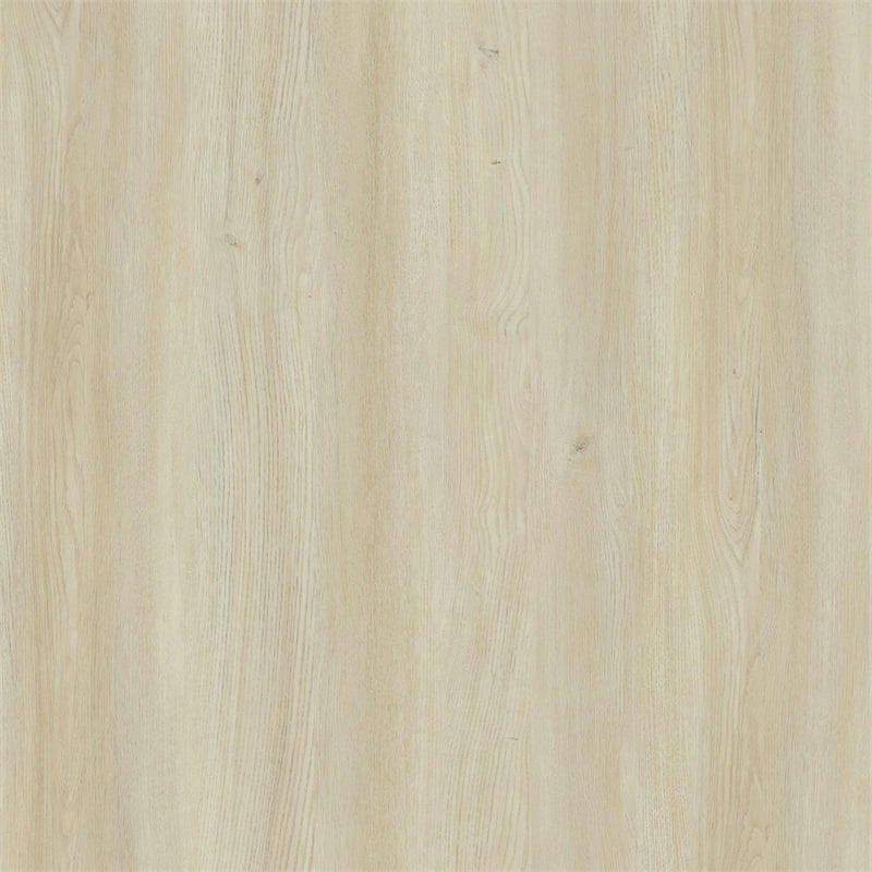 Novara Contemporary 60