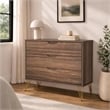 Avira Mid-Century Modern 35
