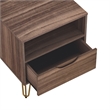 Avira Mid-Century Modern 20