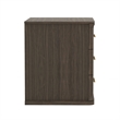 Clifford Traditional 2-Piece Dresser and Nightstand in Walnut