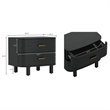 Solara Contemporary 2-Piece Dresser and Nightstand in Black