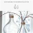 Ashley Furniture Marcin 2 Piece Glass and Rope Vase Set in Clear
